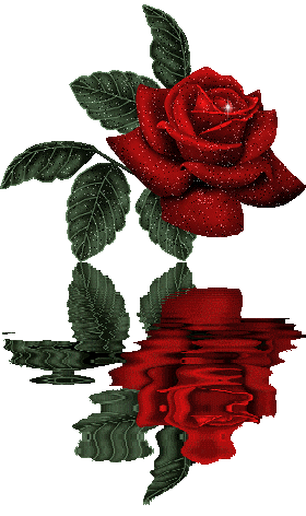image002.gif